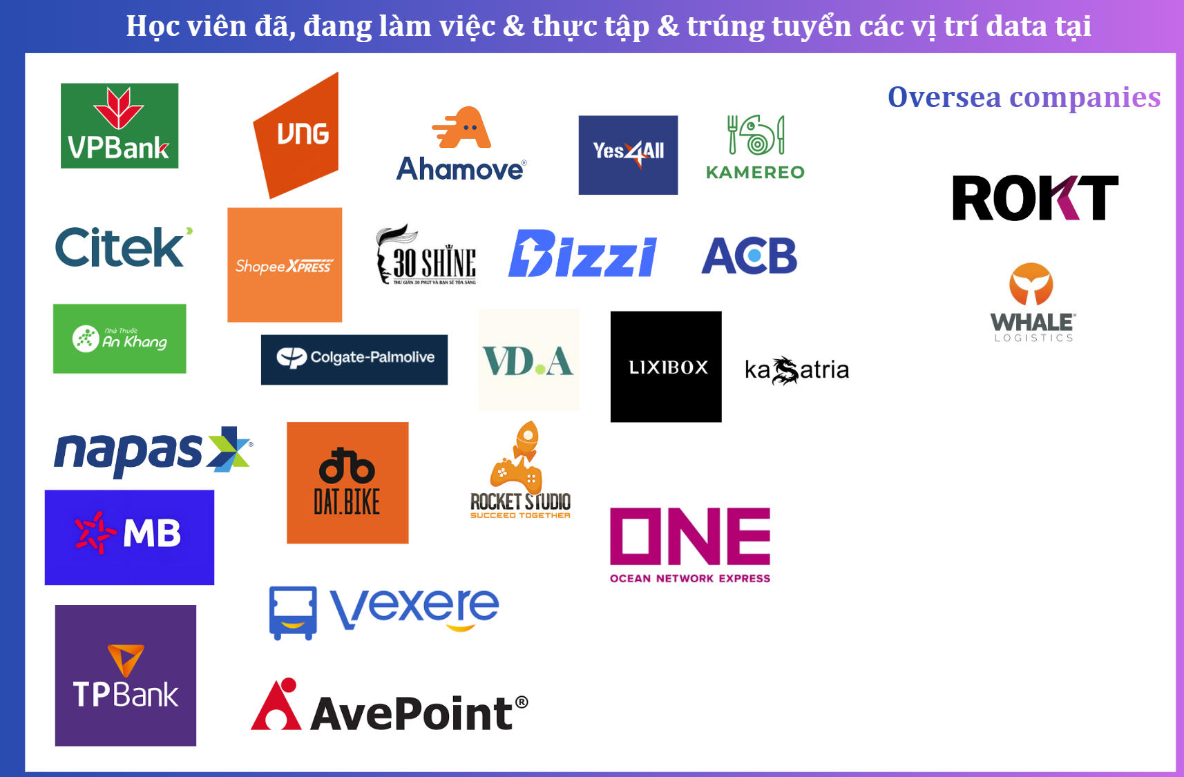 Các công ty học viên TheHauData Academy đang làm việc